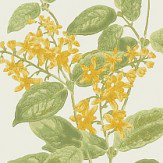 Madras Violet  Wallpaper - Yellow - by Cole & Son. Click for more details and a description.