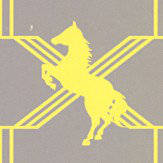 Horse Trellis Acid on Grey Wallpaper - Acid Yellow / Grey - by Barneby Gates. Click for more details and a description.