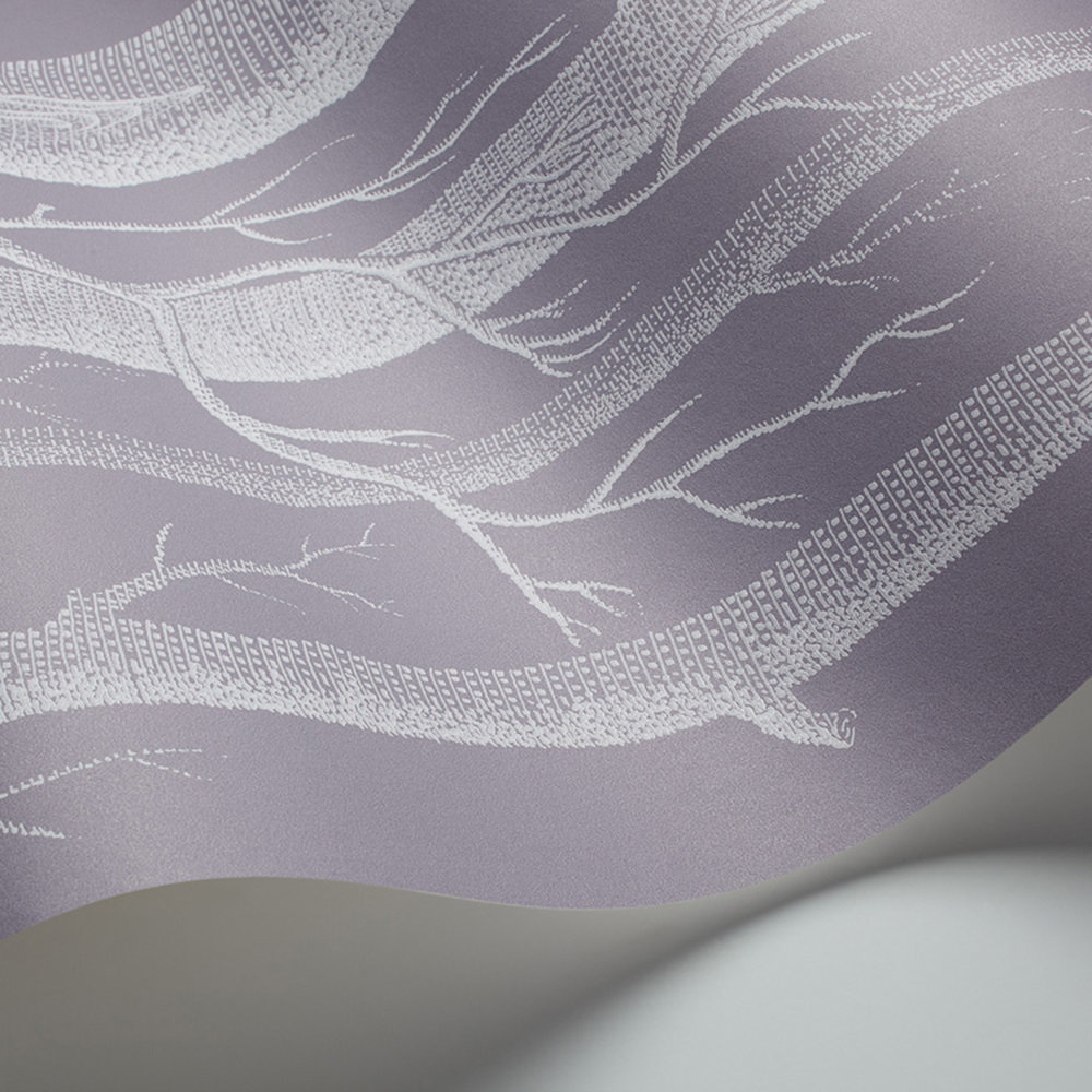 Woods Wallpaper - Lilac / Charcoal - by Cole & Son