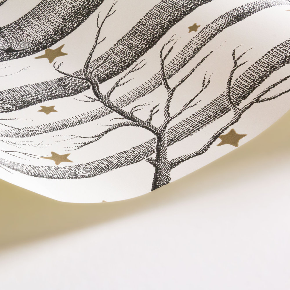 Woods and Stars Wallpaper - Black and White - by Cole & Son