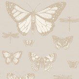 Papier peint Butterflies and Dragonflies - Gris - Cole & Son. Cliquez pour en savoir plus et lire la description.