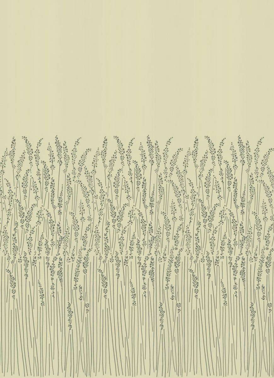 Feather Grass Wallpaper - Cream - by Farrow & Ball