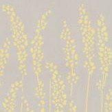 Papier peint Feather Grass - Jaune pâle - Farrow & Ball. Cliquez pour en savoir plus et lire la description.