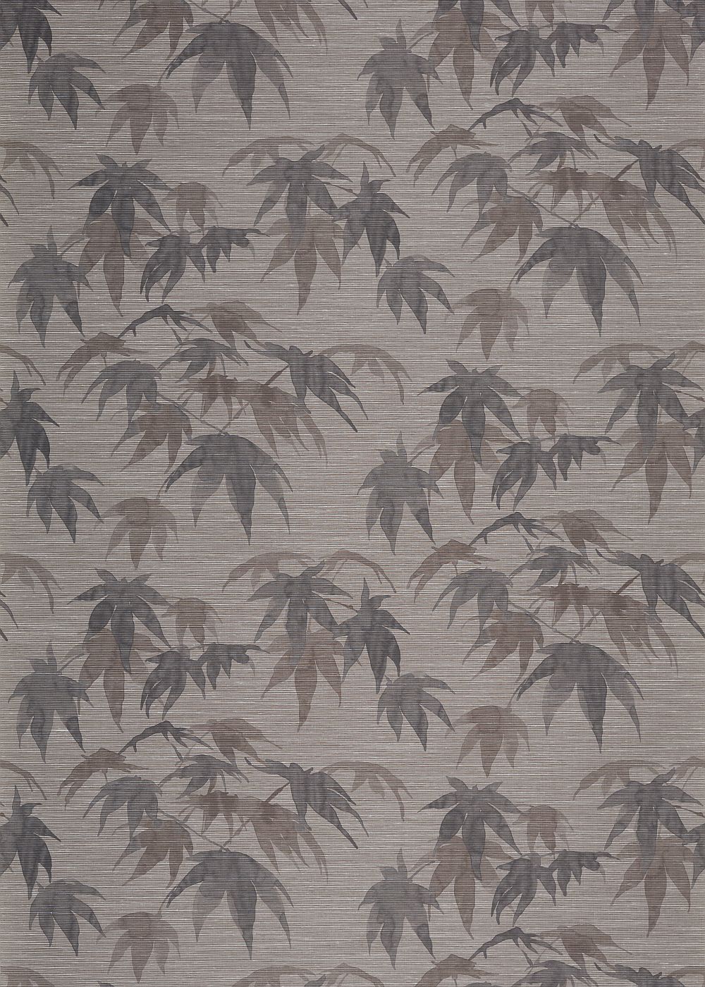 Acer Wallpaper - Ash / Pewter - by Zoffany