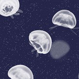 Jellyfish Wallpaper - Blue - by Coordonne. Click for more details and a description.