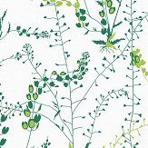 Bladranker Wallpaper - Green - by Boråstapeter. Click for more details and a description.