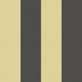 Nevis Wallpaper - Ebony - by Clarke & Clarke. Click for more details and a description.
