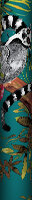 Lemur Wallpaper - Teal - by Albany