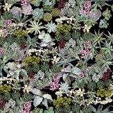 Surreal Succulents Wallpaper - Green - by Ella Doran. Click for more details and a description.