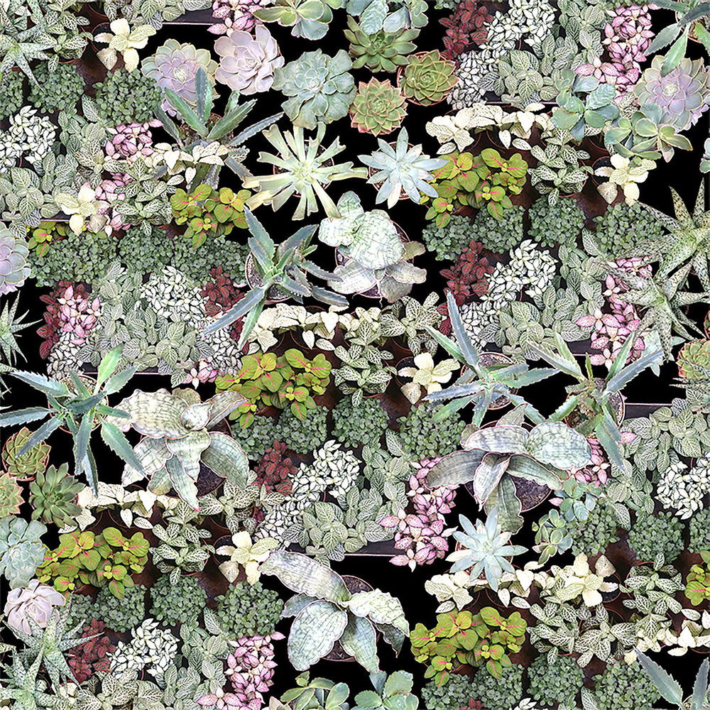 Surreal Succulents Wallpaper - Green - by Ella Doran