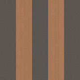 Regatta Stripe Wallpaper - Tan & Black - by Cole & Son. Click for more details and a description.