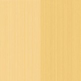 Jaspe Stripe Wallpaper - Yellow - by Cole & Son. Click for more details and a description.