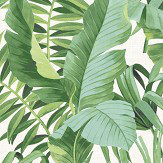 Baja Wallpaper - Green - by Albany. Click for more details and a description.