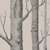 Papier peint Woods - Lin et charbon de bois - Cole & Son. Cliquez pour en savoir plus et lire la description.