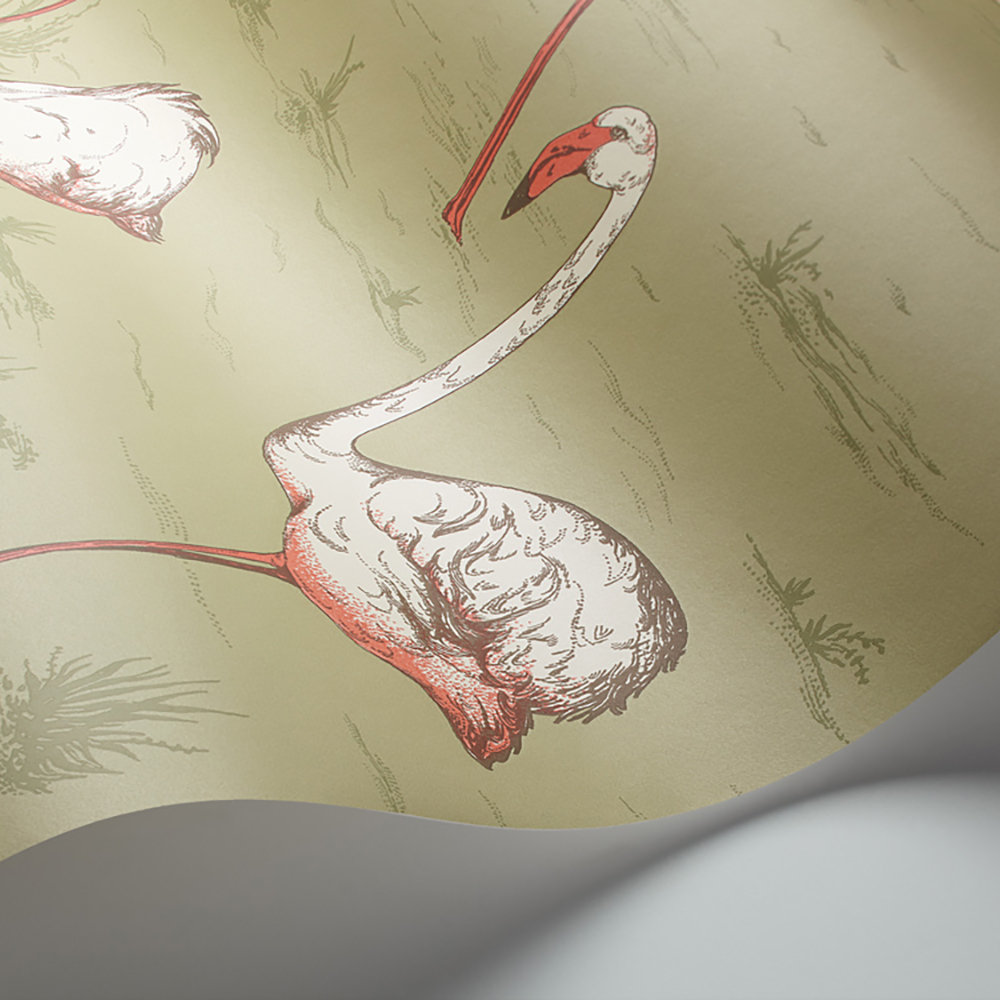 Flamingos Wallpaper - Olive - by Cole & Son
