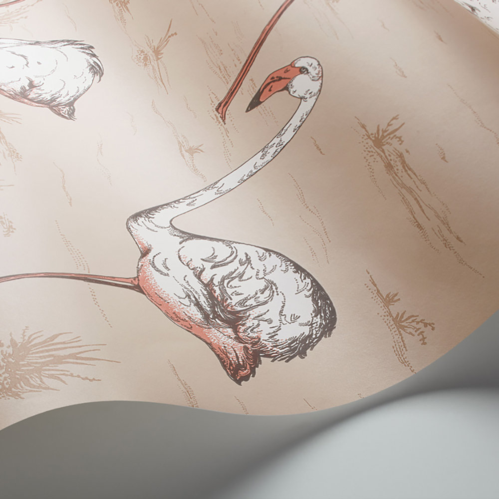 Flamingos Wallpaper - Ballet Slipper - by Cole & Son