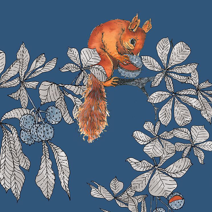 Conker Wallpaper - Midnight - by Petronella Hall
