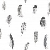 Feathers Wallpaper - Black / White - by Galerie. Click for more details and a description.