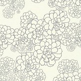 Aeonium Wallpaper - White - by Paint & Paper Library. Click for more details and a description.