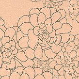 Aeonium Wallpaper - Temple - by Paint & Paper Library. Click for more details and a description.