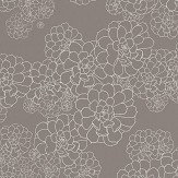Aeonium Wallpaper - Monument - by Paint & Paper Library. Click for more details and a description.