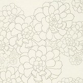 Aeonium Wallpaper - Wattle - by Paint & Paper Library. Click for more details and a description.