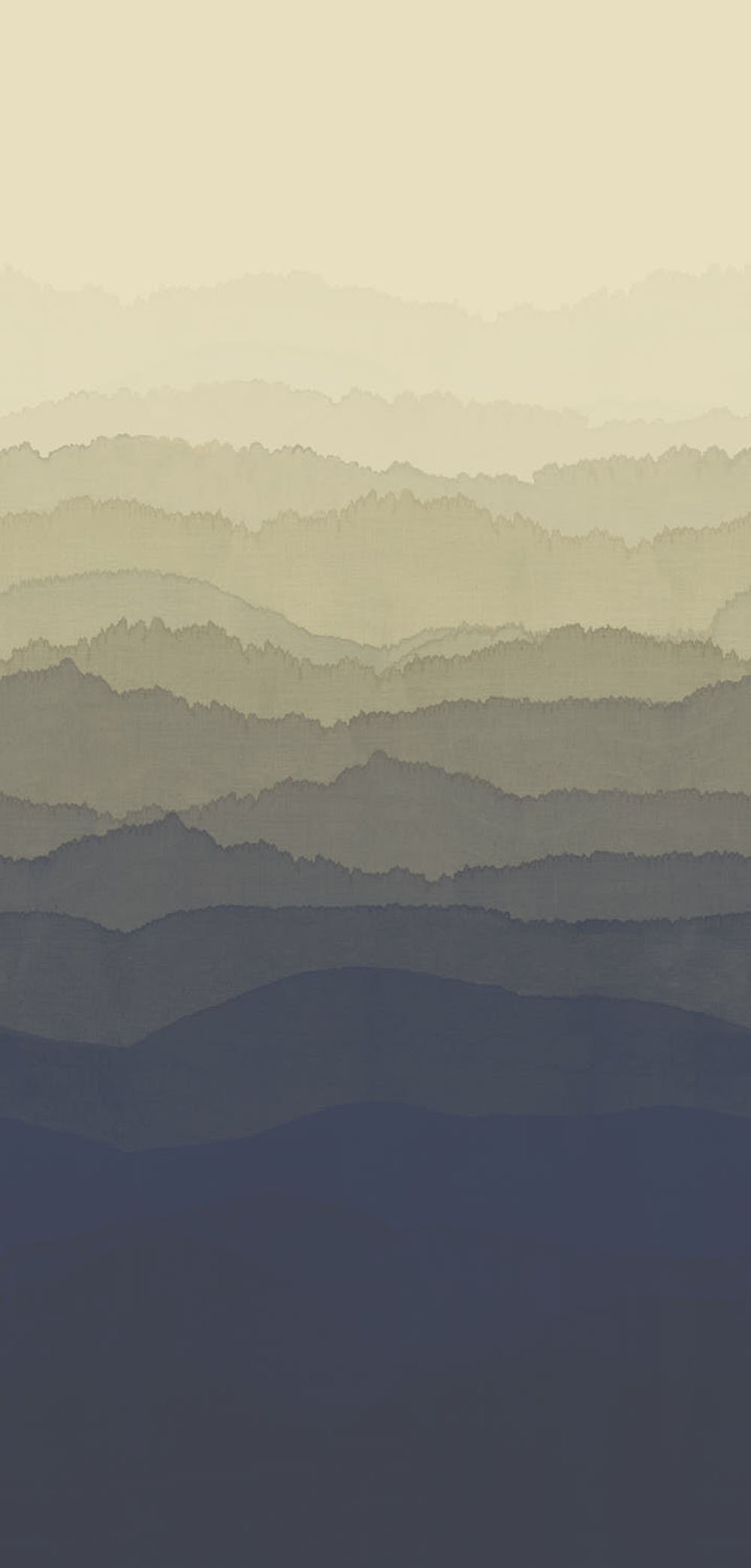 Panoramique Wray - Œil de tigre / encre - Zoffany