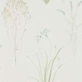 Papier peint Farne Grasses - Sauge / crème - Sanderson. Cliquez pour en savoir plus et lire la description.
