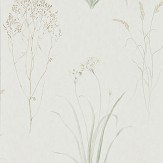 Farne Grasses Wallpaper - Willow / Pebble - by Sanderson. Click for more details and a description.