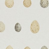 Papier peint Nest Egg - Maïs / graphite - Sanderson. Cliquez pour en savoir plus et lire la description.