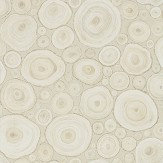 Alnwick Logs Wallpaper - Birch - by Sanderson. Click for more details and a description.