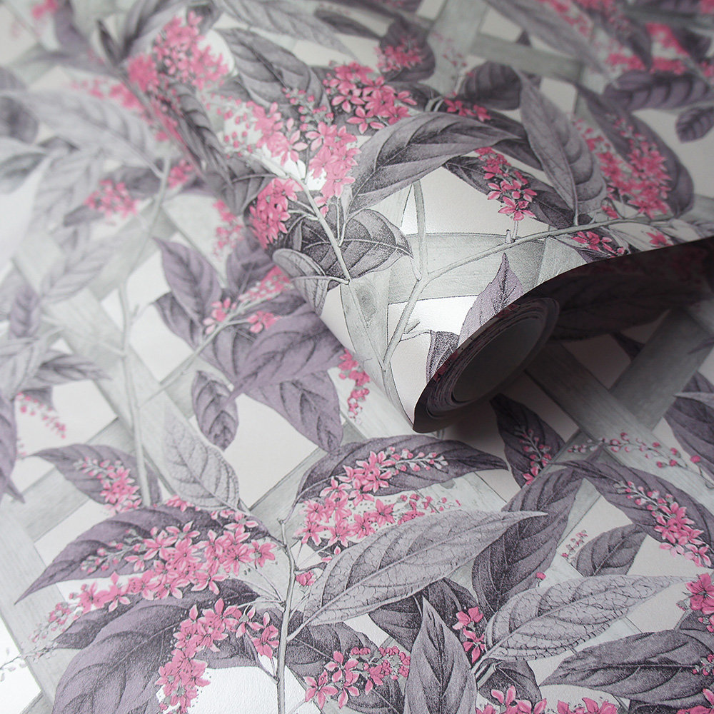 Brassica Wallpaper - Pink and Grey - by Albany