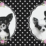 Little Stars Chihuahua Border - Black - by Albany. Click for more details and a description.