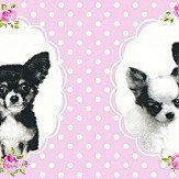 Little Stars Chihuahua Border - Pink - by Albany. Click for more details and a description.