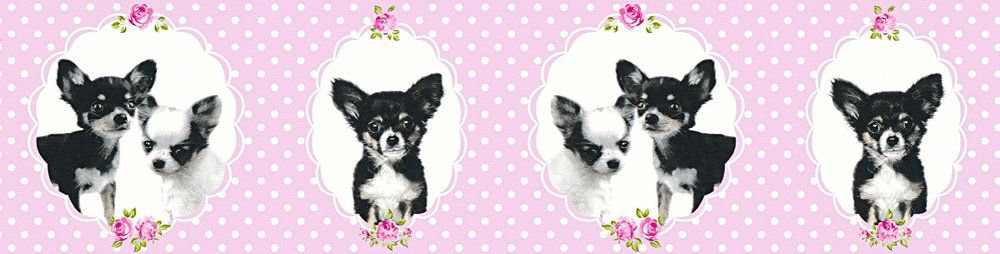 Little Stars Chihuahua Border - Pink - by Albany