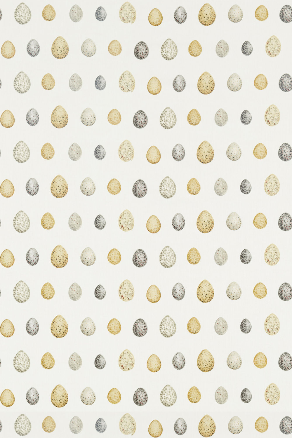 Nest Egg Fabric - Corn and Graphite - by Sanderson