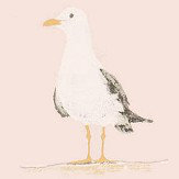 Papier peint Shore Birds - Rosé - Sanderson. Cliquez pour en savoir plus et lire la description.