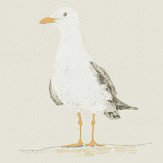 Papier peint Shore Birds - Bois de grève - Sanderson. Cliquez pour en savoir plus et lire la description.