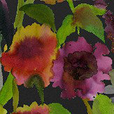 Indian Sunflower Mural - Graphite - by Designers Guild. Click for more details and a description.
