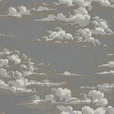Papier peint Silvi Clouds - Gris taupe - Sanderson. Cliquez pour en savoir plus et lire la description.
