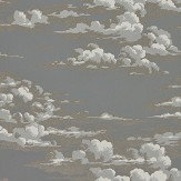 Silvi Clouds Wallpaper - Taupe Grey - by Sanderson. Click for more details and a description.