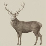 Papier peint Evesham Deer - Bouleau - Sanderson. Cliquez pour en savoir plus et lire la description.