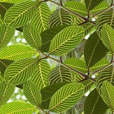 Safari Leaf Wallpaper - Green - by Ella Doran. Click for more details and a description.