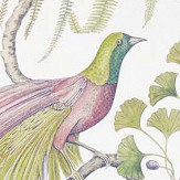 Bird of Paradise Wallpaper - Orchid - by Sanderson. Click for more details and a description.
