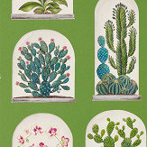 Papier peint Terrariums - Vert botanique / multicolore - Sanderson. Cliquez pour en savoir plus et lire la description.