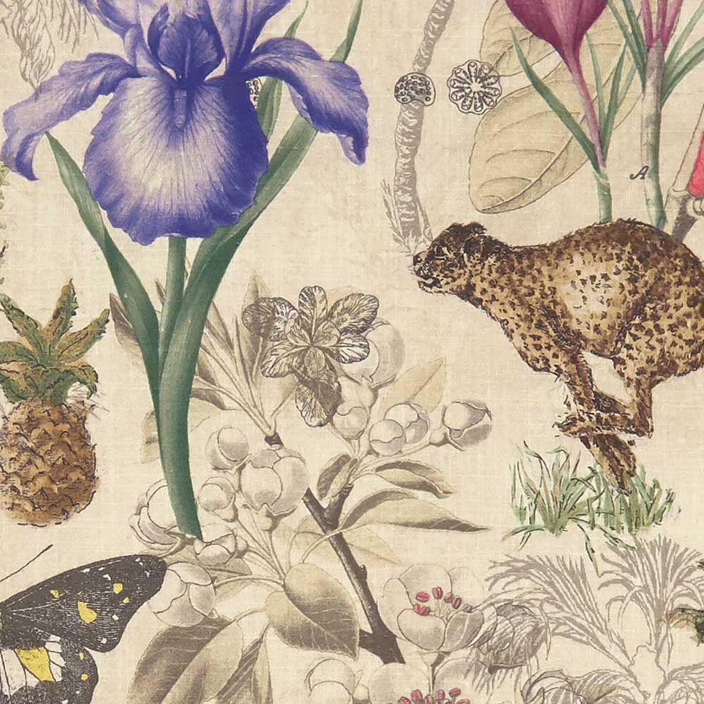 Botany Fabric - Summer - by Clarke & Clarke