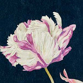 Panoramique Tulipomania - Encre - Sanderson. Cliquez pour en savoir plus et lire la description.