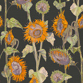 Sunflowers Wallpaper - Black - by Petronella Hall. Click for more details and a description.
