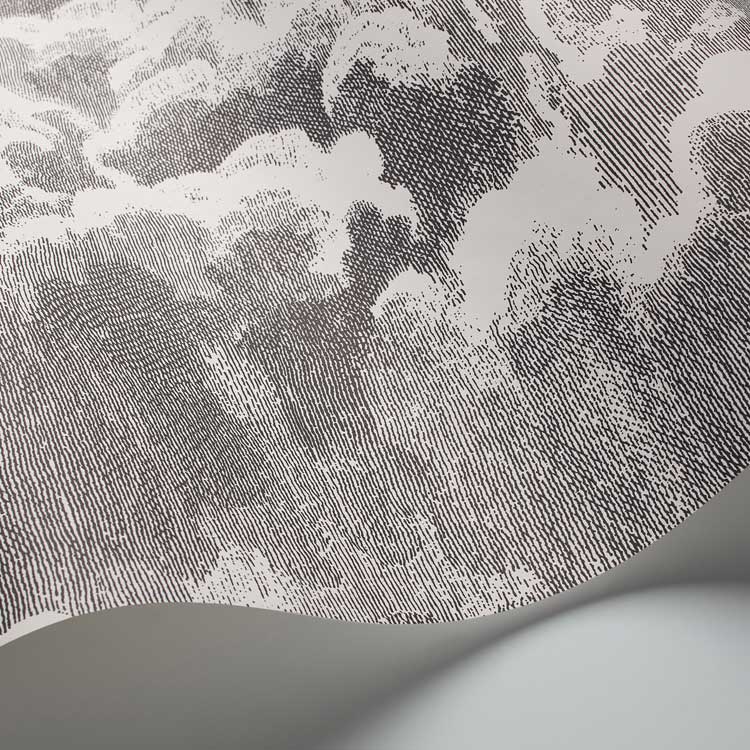 Nuvolette Wallpaper - Black / White - by Cole & Son