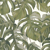 Jungle Leaves Wallpaper - Green - by Albany. Click for more details and a description.
